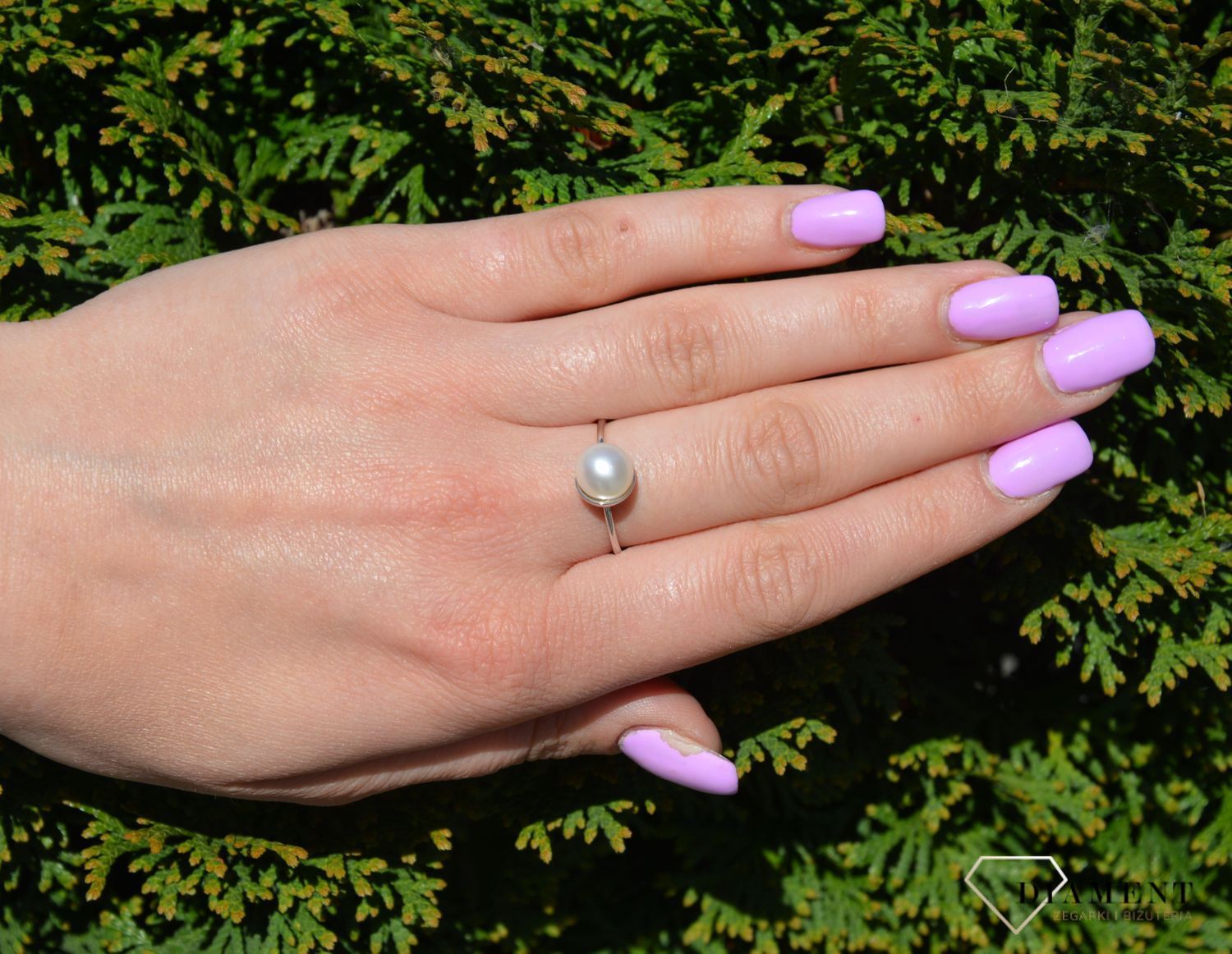 PRS 000000 349 925.jpg